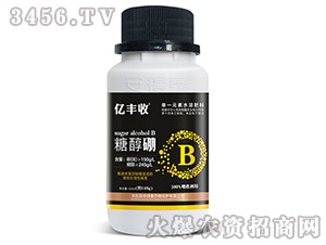 �Ǵ���-�ڷ���-����̩