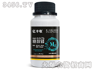 �Ǵ�þ-�ڷ���-����̩