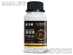 �Ǵ���-�ڷ���-����̩