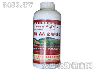 ��Ʒ2000Ҷ���-��ʥ����