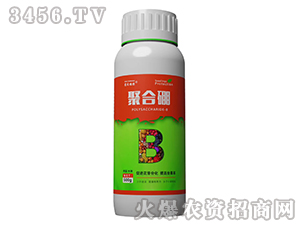 �ۺ���-ʵ��ֲ��