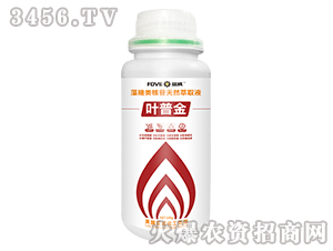 500g�����������Ȼ��ȡҺ-Ҷ�ս�-����
