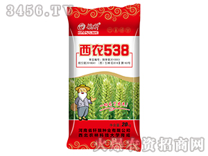 ��ũ538-����-������ҵ