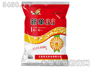 �µ�33-��������-������ҵ