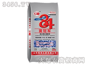 84���ھ�΢�������-³һ-����