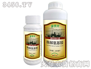 ø�ⰱ����-������-�ڷ��ҵ