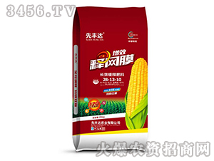 ��Ч���ͷ���28-13-10���죩-��Ч����Ĥ-�ȷ��