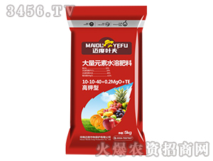 �߼��ʹ���Ԫ��ˮ�ܷ���10-10-40+0.2MgO+TE-����Ҷ��