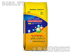 2�ڸ���΢�������-ʩӯ��-ʩ����