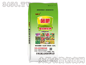 5�ڸ���΢�������-ʩӯ��-ʩ����