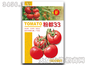 �۶�33-����������-ԥ��