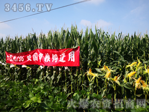 �󾩾�156��һ��-��������-�󾩾�