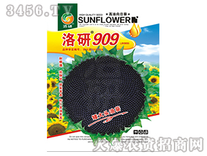 ���տ�����-����909-����