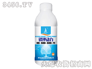 �׼ض���00-500-500+TE-�ں�