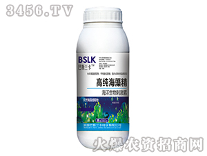 500g�ߴ����徫-��˹����