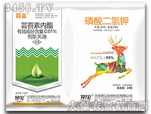 ̦ܿ������+��������-�ͽ�-��������