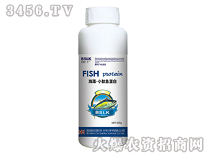 500g���塤С���㵰��-��˹����