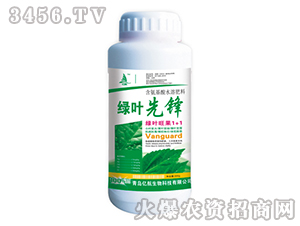 500g��Ҷ�ȷ�-�ں�