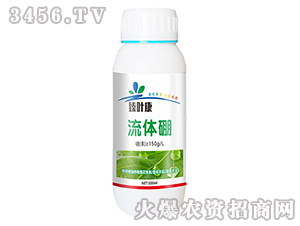 500ml������-��Ҷ��
