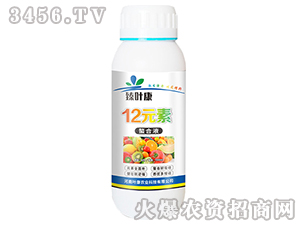 12Ԫ������Һ-��Ҷ��