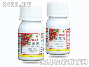 �籽¡-�̶����������ר�ã�-�̶�����