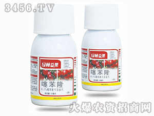 �籽¡-�̶������ƻ��ר�ã�-�̶�����