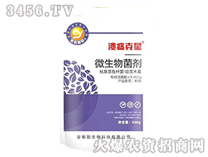 500g΢�������-�������-��ɫ����