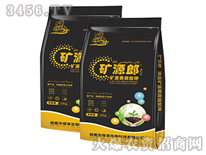 ​ԭ�ϼ�1����Դ�Ƹ���أ���Ȼ����̼��أ�-��Դ��-��������