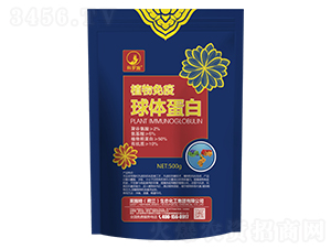 ֲ���������嵰��-����ʩ-��ʩ��