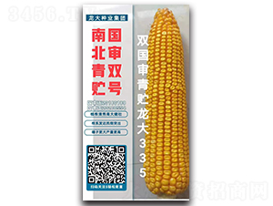 ˫������������335-��������-������ҵ