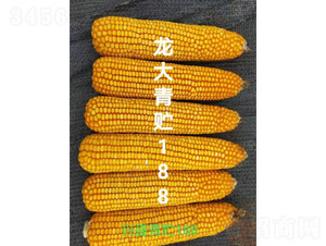 ��������188-��������-������ҵ