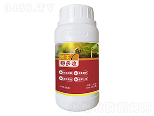 250g�ȶ���-����-�����