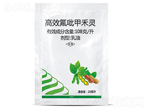 10%��୺���-�ں̷�