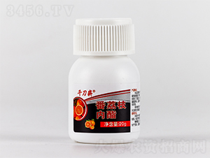 20g����֦����-ǧ��ո-�л�������