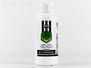 13.7%��Ρ����ˮ����300g��-��֮��-�л�������
