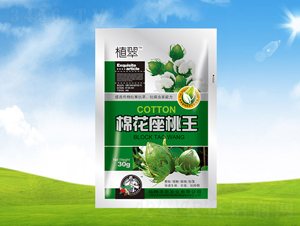 �޻�������-ֲ��-��ũũ��