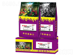 ����Ԫ��ˮ�ܷ�20-20-20+TE�����װ��-�����-ǰ�ط�ҵ