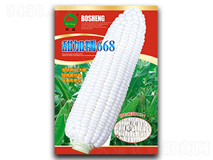 ���Ŵ668-��������-��ʢ��ҵ