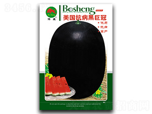 ���������ھ޹�-��������-��ʢ��ҵ