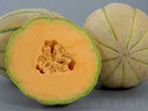 ��ľF1-�������-³��