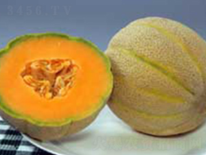 �Ҹ�F1-�������-³��