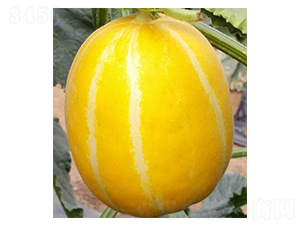 ���-�������-³��