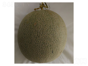 ����-�������-³��
