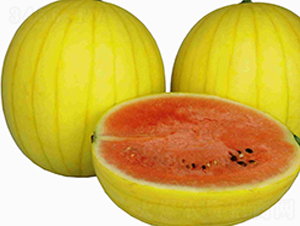 ��̫��-��������-³��