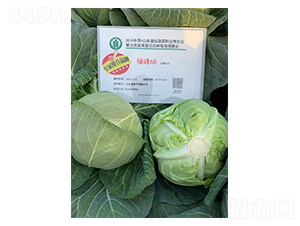 �̷�68-��������-³��