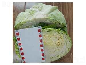 �޷�-��������-³��