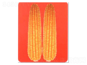 LZ9168-��������-³��