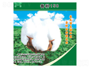 ³��158-�޻�����-³��