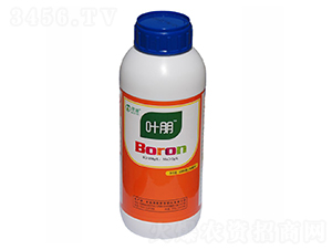 �л����-Ҷ��-ïʩũҵ