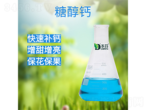�Ǵ���-���ũҵ